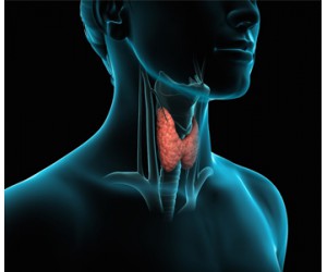 Symptoms, Types, Diagnosis and Treatment for Thyroid