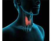 Symptoms, Types, Diagnosis and Treatment for Thyroid